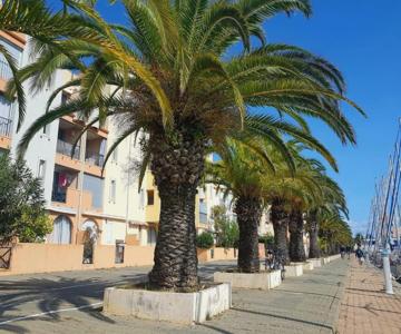 T2 sur le port avec parking