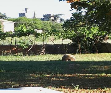 Villa Saint-privat