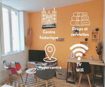 STUDIO Rénové 26 m2 Centre Historique