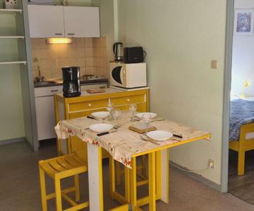 Appartement Saint-lary-soulan, 2 Pièces, 6 Personnes - Fr-1-457-253