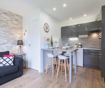 Appartement Saint-lary-soulan, 1 Pièce, 4 Personnes - Fr-1-296-468