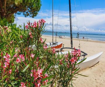 Plage Benoît à 80m, terrasse & jardinet 10