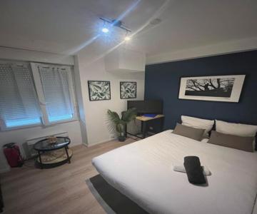 Nantes Mangin-direct Gare-parking-proche Commerces