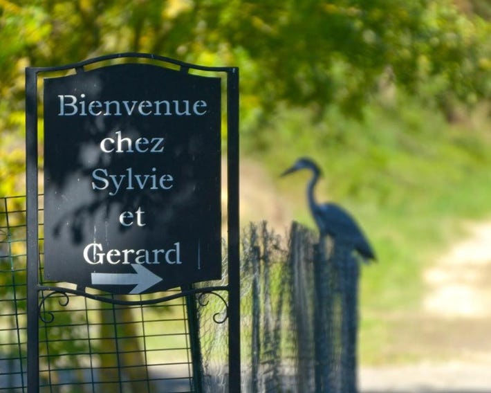Domaine de la Cour