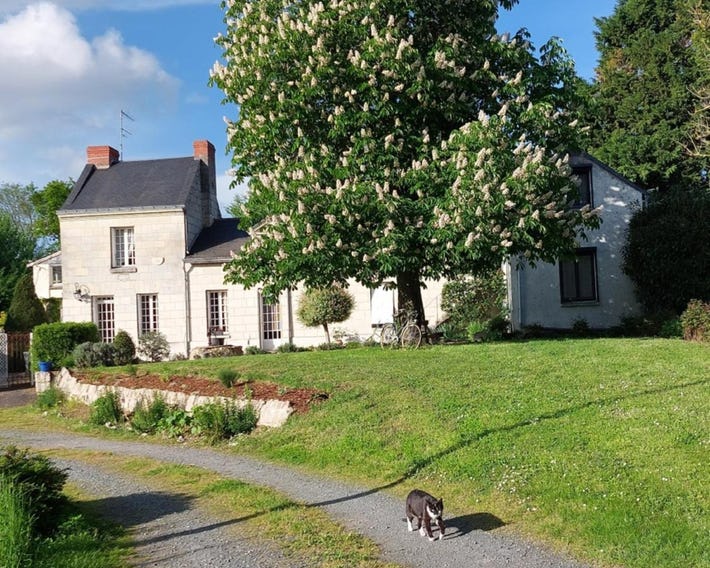 Chambres d'Hôtes de l'Ile du Saule