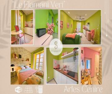 Arles Getaway - Le Flamant Vert