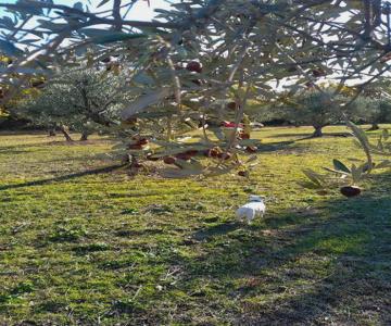 Studio indépendant dans Ferme Equestre