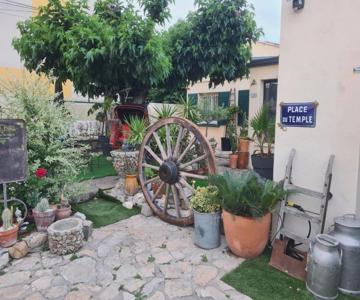 site paradis rue colibri