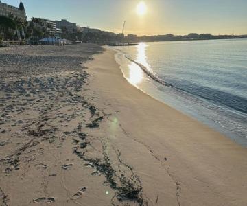 Elegant studio a 50m de la Croisette et ses plages - Ada Serenity Beach