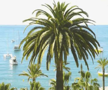 Studio climatisé proche parking gratuit, commerces et plages