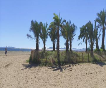 chambres côté plage, aperçu mer, proche aéroport, climatisées et parking gratuit