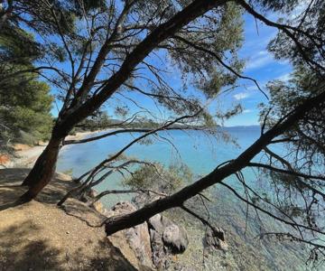 Appartement plage piscine et tennis inclus
