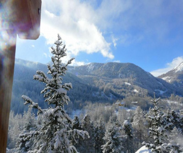 Le Cerf Che Near Aravet Gondola