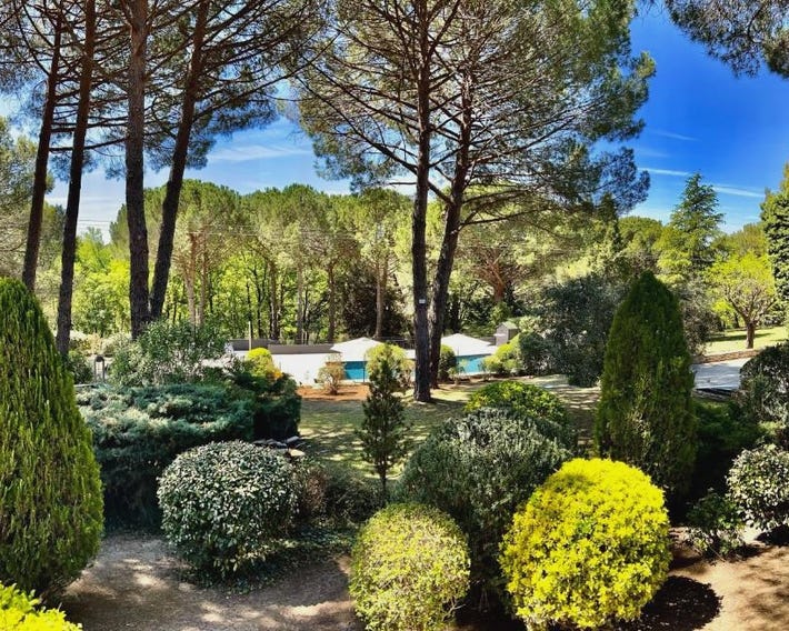 Provence mon amour