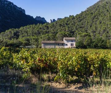 Domaine de Cassan