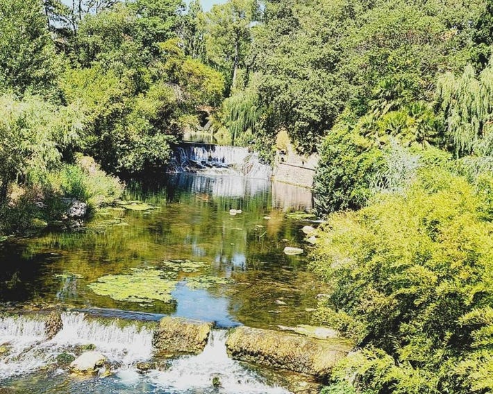villa en pleine nature