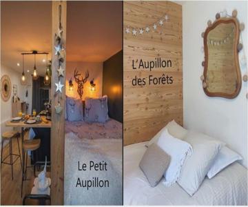Le Petit Aupillon - L'aupillon Des Forêts - 2 Studios Cocooning Aux Orres