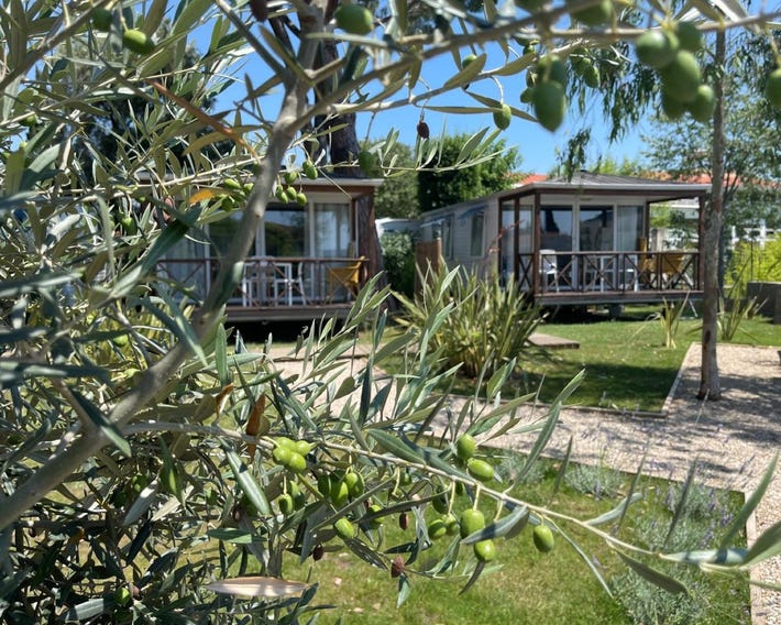 Camping Les Cigales