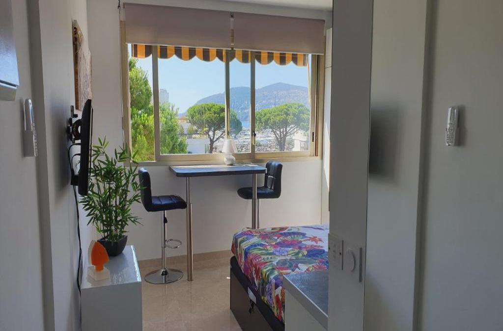 Garden and beach sea view apartment Cannes