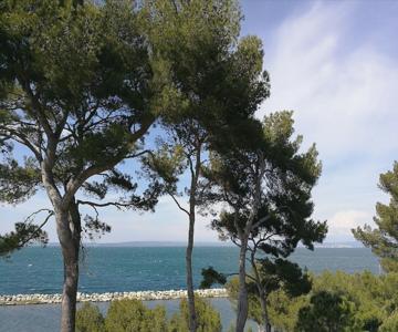 La Cigaliere