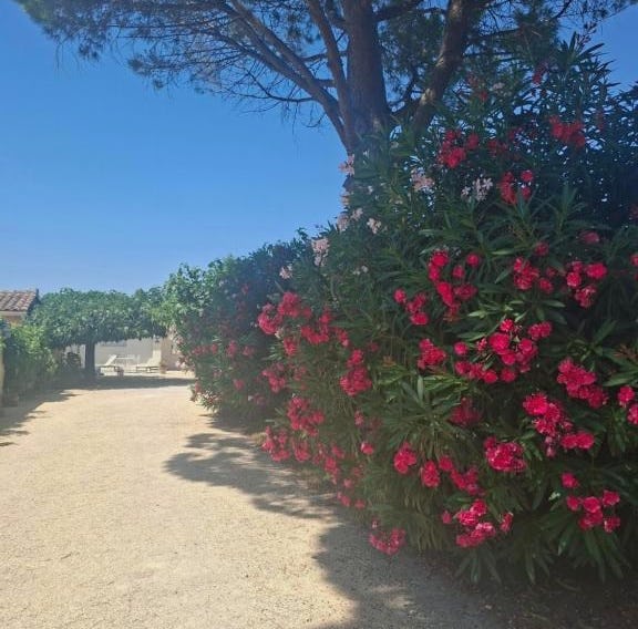 Bienvenue en Provence