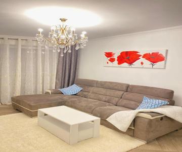 Appart T2 refait à neuf 50m2