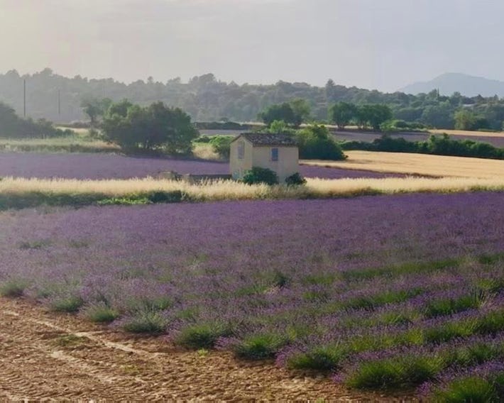 Location de vacances Rians haut Var