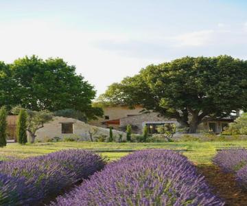Domaine Egenia