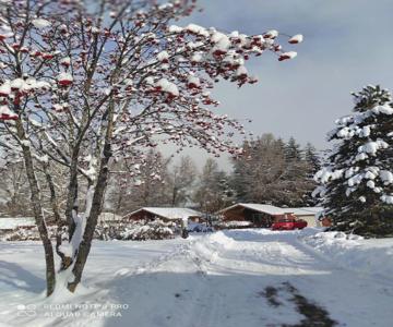 Chalet calme