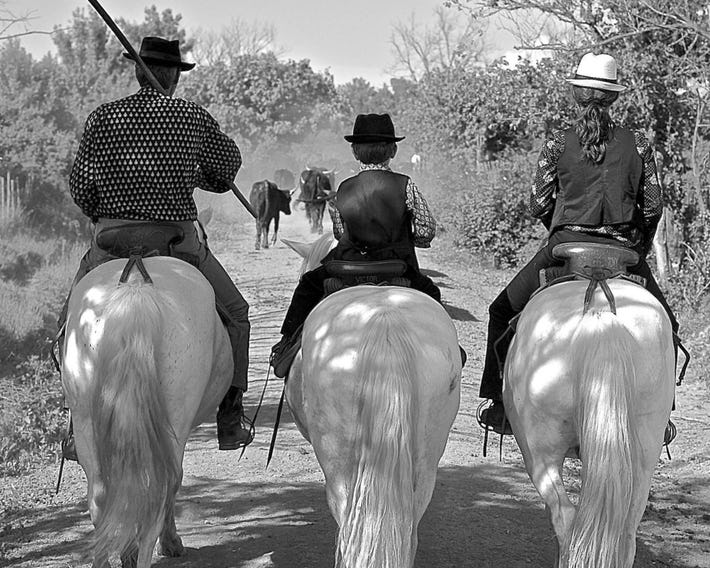 Mas du Menage en Camargue Manade Clauzel