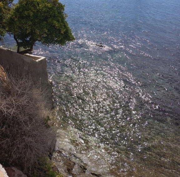 Le Côte d'Azur