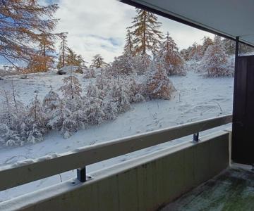 STUDIO le FOREST SKIS AUX PIEDS