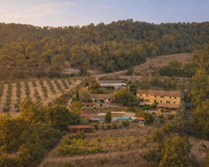 Domaine Lou Amì