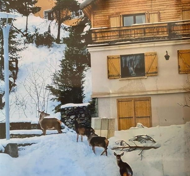 CHALET FAMILIAL AURON
