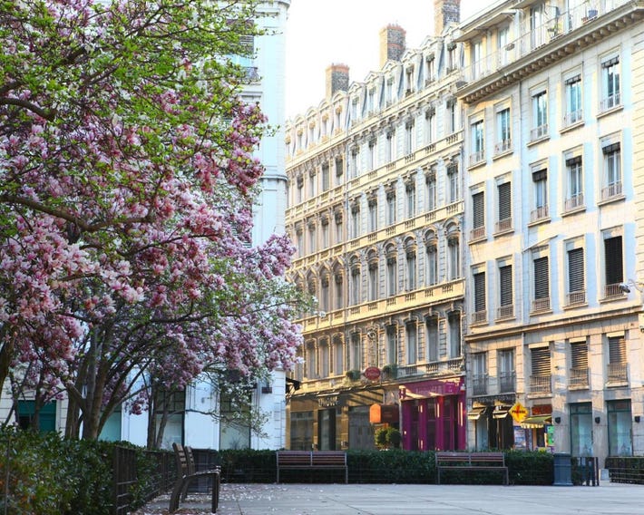 Hotel des Celestins