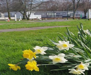 Lomond Woods Holiday Park