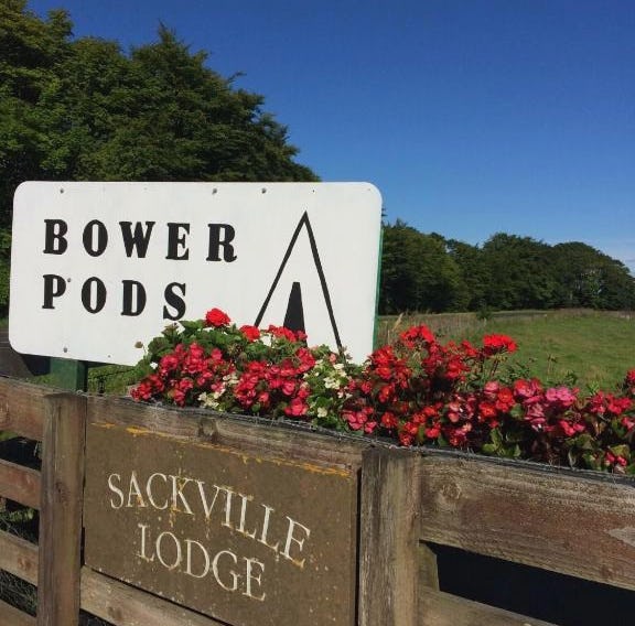Bower Pods