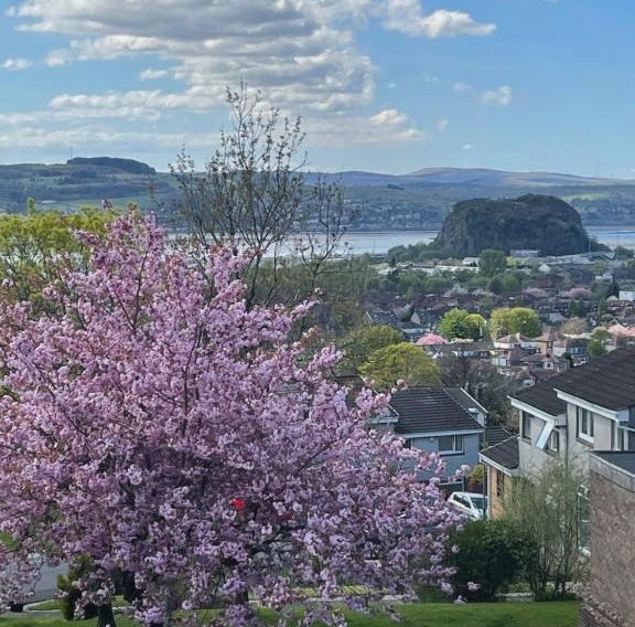 Dumbarton With A View