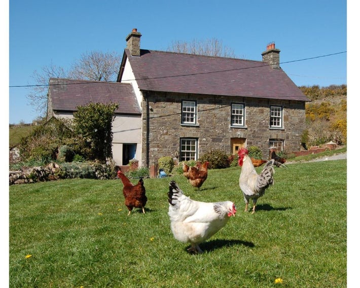 Nantgwynfaen Organic Farm Wales
