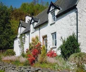 Maes Glas Cottages