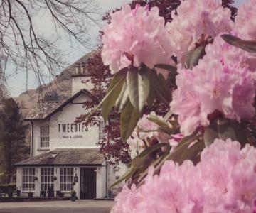 Dale Lodge Hotel