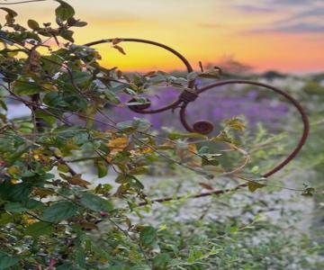 Bybrook Barn Bed & Breakfast