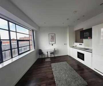 342 Stunning One Bedroom Studio Apartment