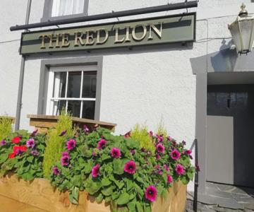 The Red Lion