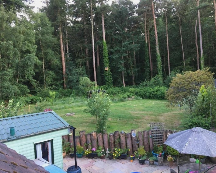 Secluded Woodland Hideaway - 2 Bed with Private Parking
