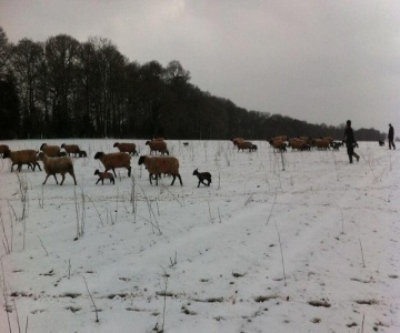 Grove Farm B&B