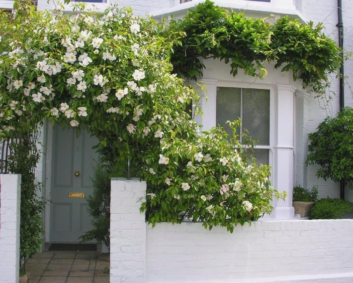 Hurlingham Bed and Breakfast