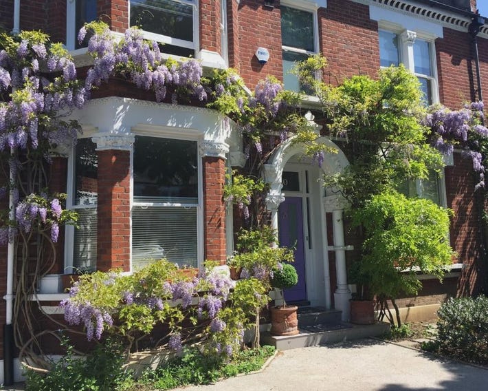 The Lilac Door