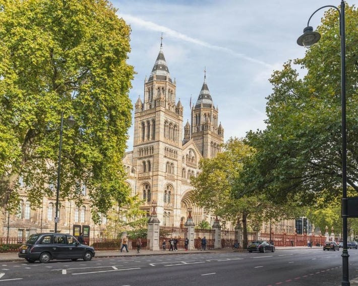 SouthKen Palace Suites