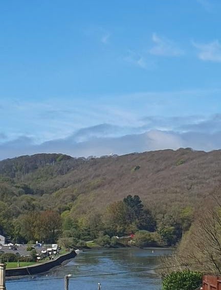 Driftwood in Looe River view and parking